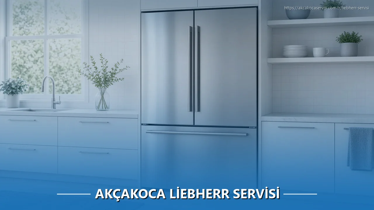 Akçakoca Liebherr Servisi